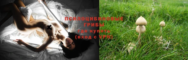 круглые Абаза